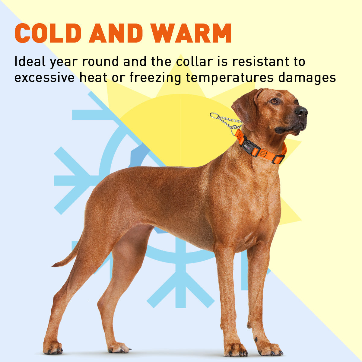 Martingale Dog Collar product image 9