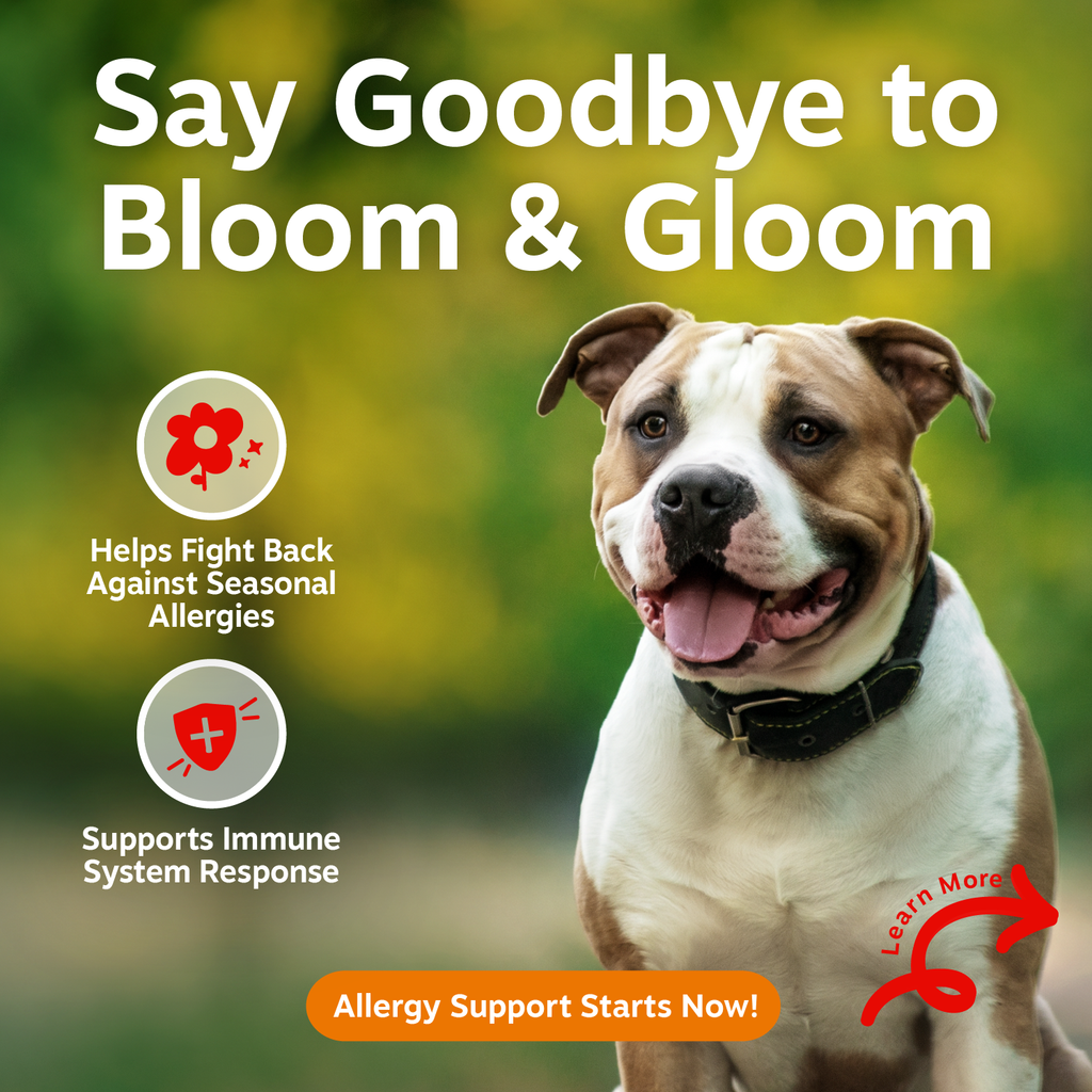 Dog Immune Supplement product image 2