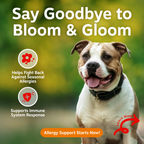 Dog Immune Supplement product image 2