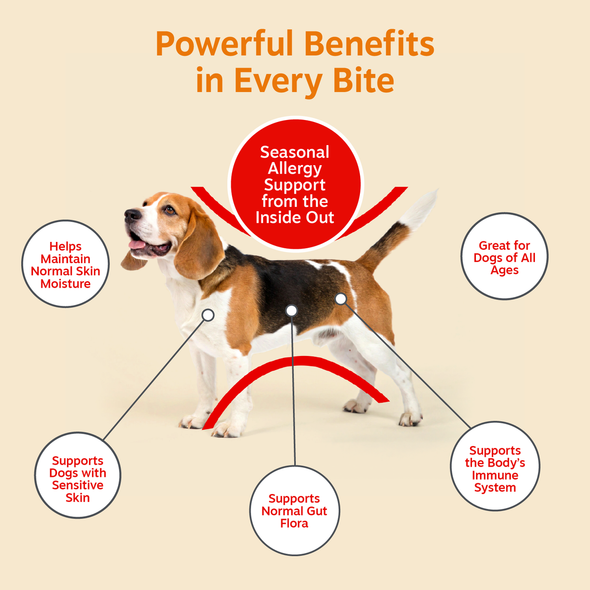 Dog Immune Supplement product image 3