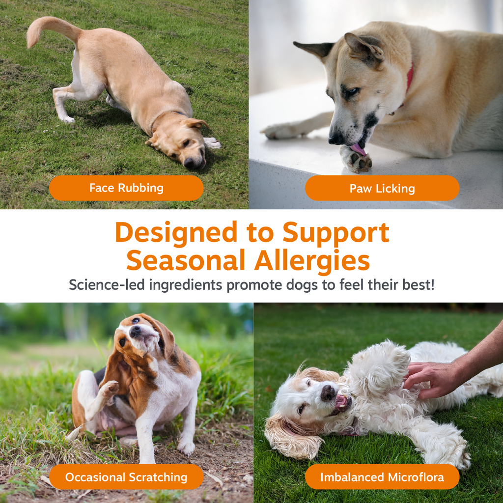 Dog Immune Supplement product image 4