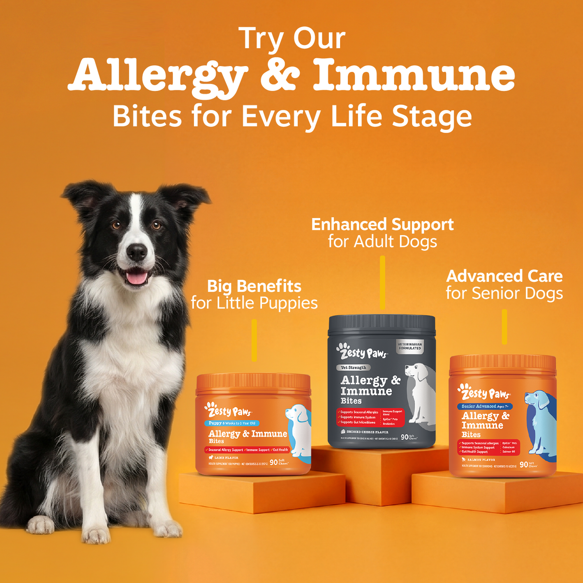 Dog Immune Supplement product image 10