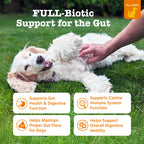 Dog Probiotic Soft Chews product image 2