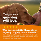 Dog Probiotic Soft Chews product image 4