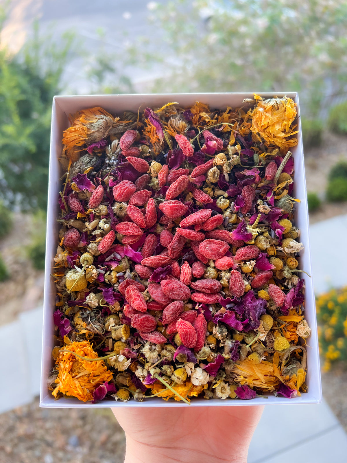 Rabbit Forage Mix product image 1