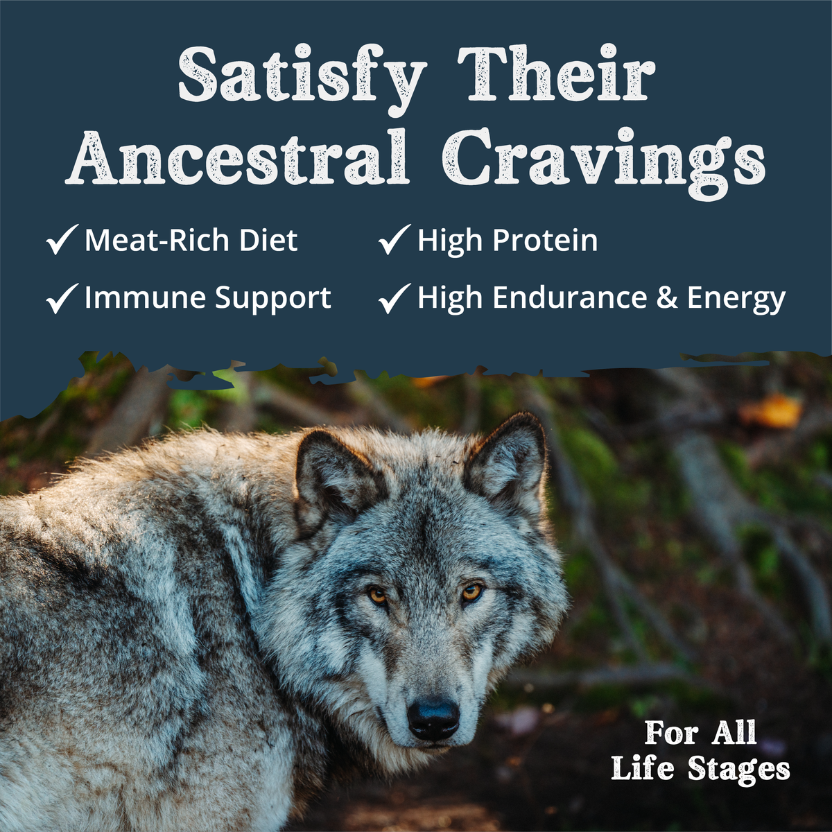 Dry Dog Food product image 2