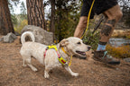 Dog Harness product image 2