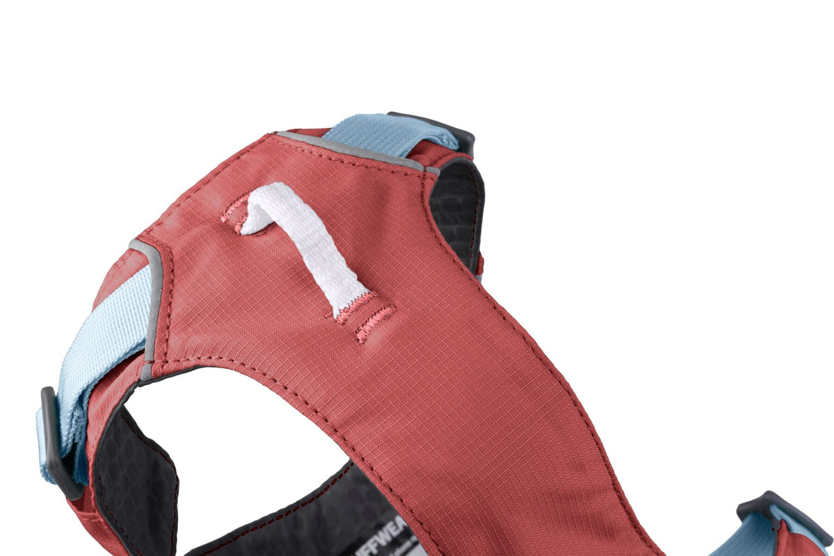 Dog Harness product image 29