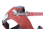 Dog Harness product image 31