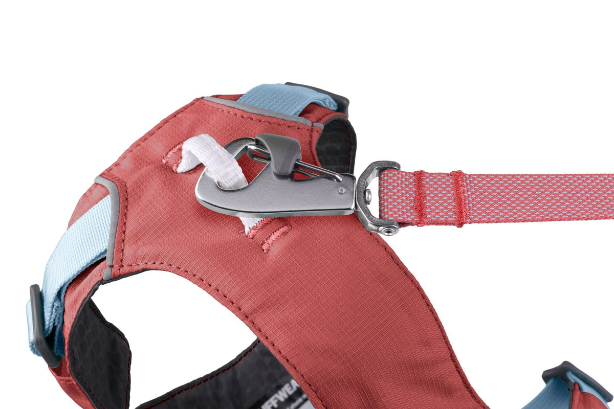 Dog Harness product image 31