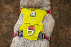 Dog Harness product image 36