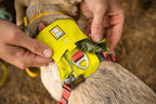 Dog Harness product image 37