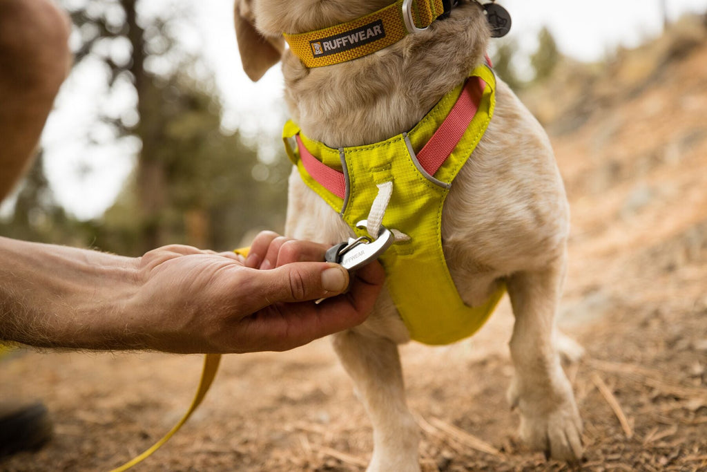 Dog Harness product image 41