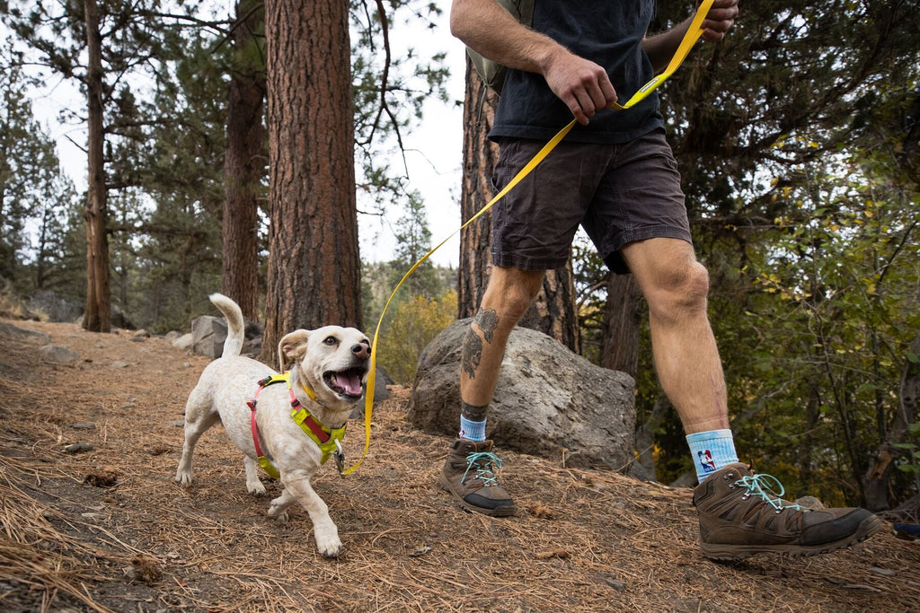 Dog Harness product image 47