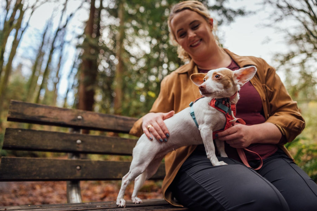 Dog Harness product image 50