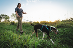 Dog Harness product image 62