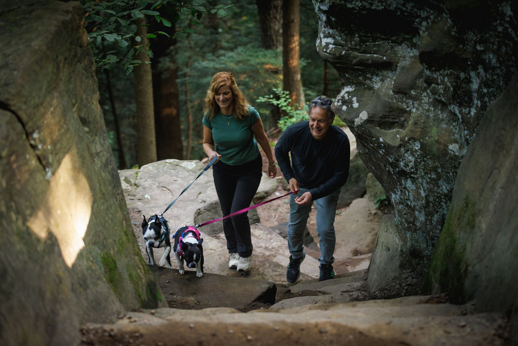 Dog Harness product image 64