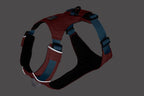 Dog Harness product image 65