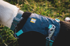 Dog Harness product image 66