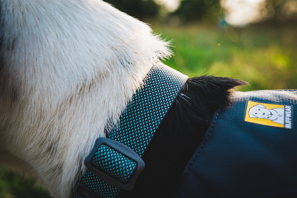 Dog Harness product image 67