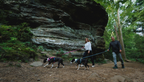 Dog Harness product image 68