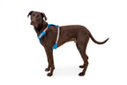Dog Harness product image 73