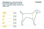 Dog Harness product image 77