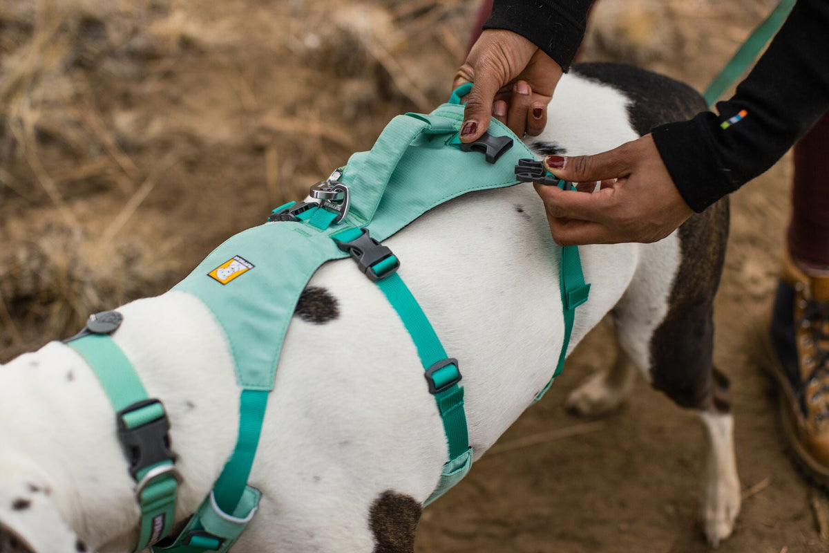 Dog Harness product image 3