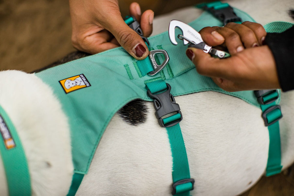 Dog Harness product image 4