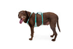 Dog Harness product image 5