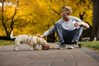Dog Harness product image 17
