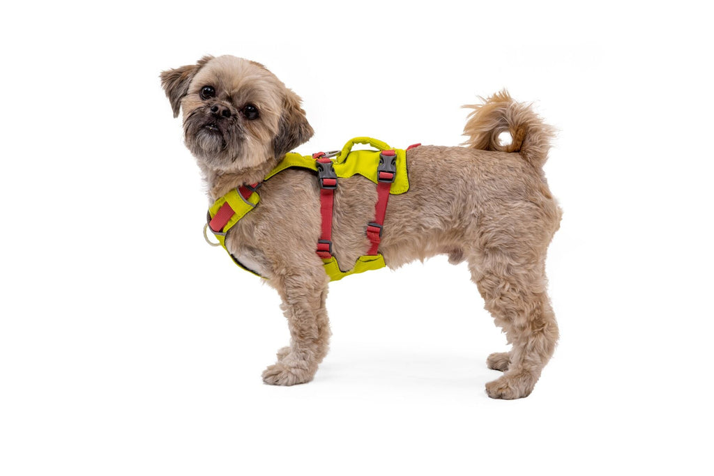 Dog Harness product image 25