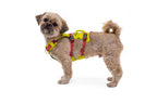 Dog Harness product image 25