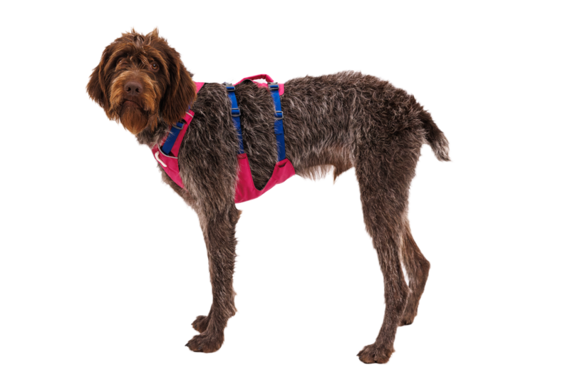 Dog Harness product image 34