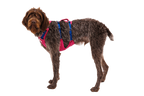 Dog Harness product image 34