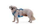 Dog Harness product image 47
