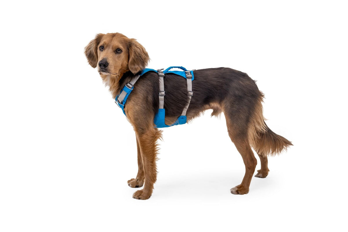 Dog Harness product image 48