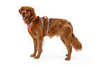Dog Harness product image 49