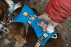 Dog Harness product image 51
