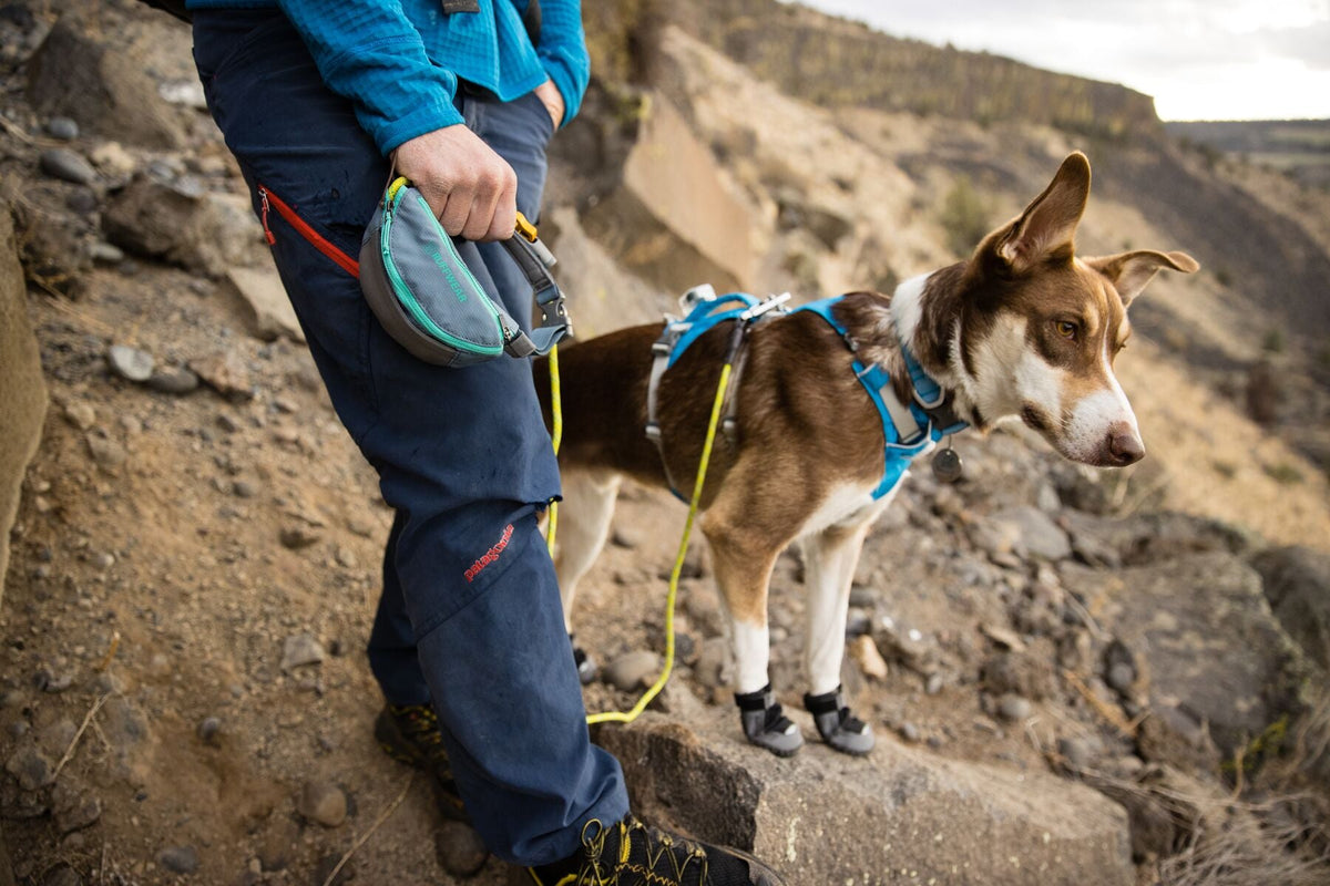 Dog Harness product image 53