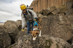Dog Harness product image 54