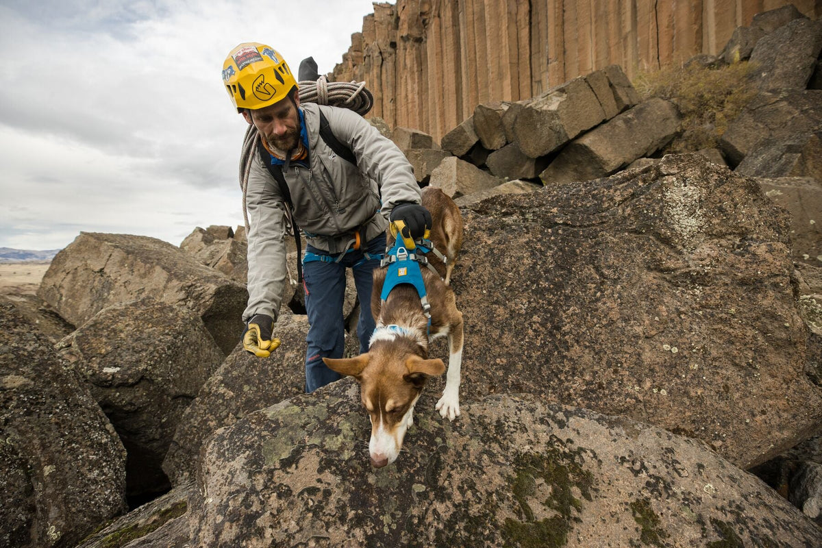 Dog Harness product image 54