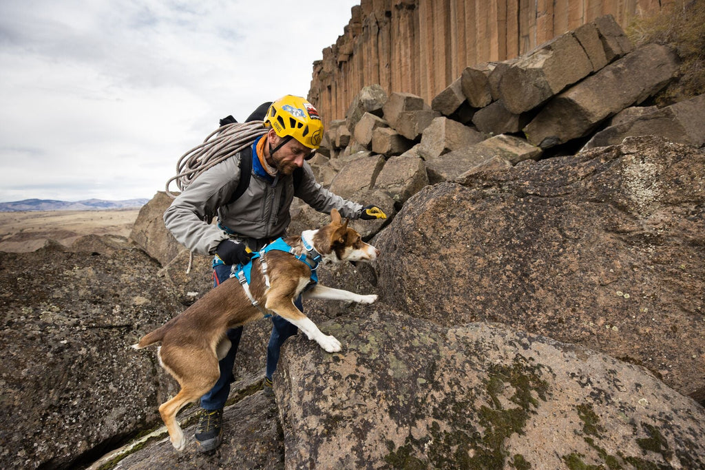 Dog Harness product image 57