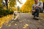 Dog Harness product image 59