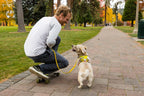 Dog Harness product image 60