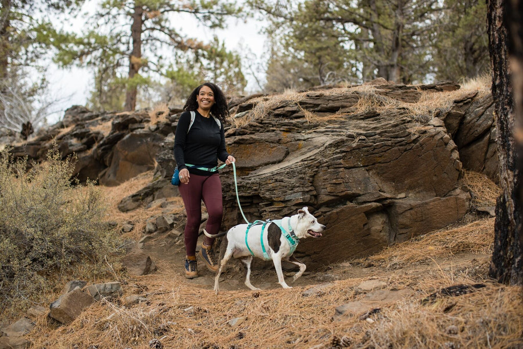 Dog Harness product image 61