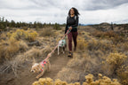 Dog Harness product image 62