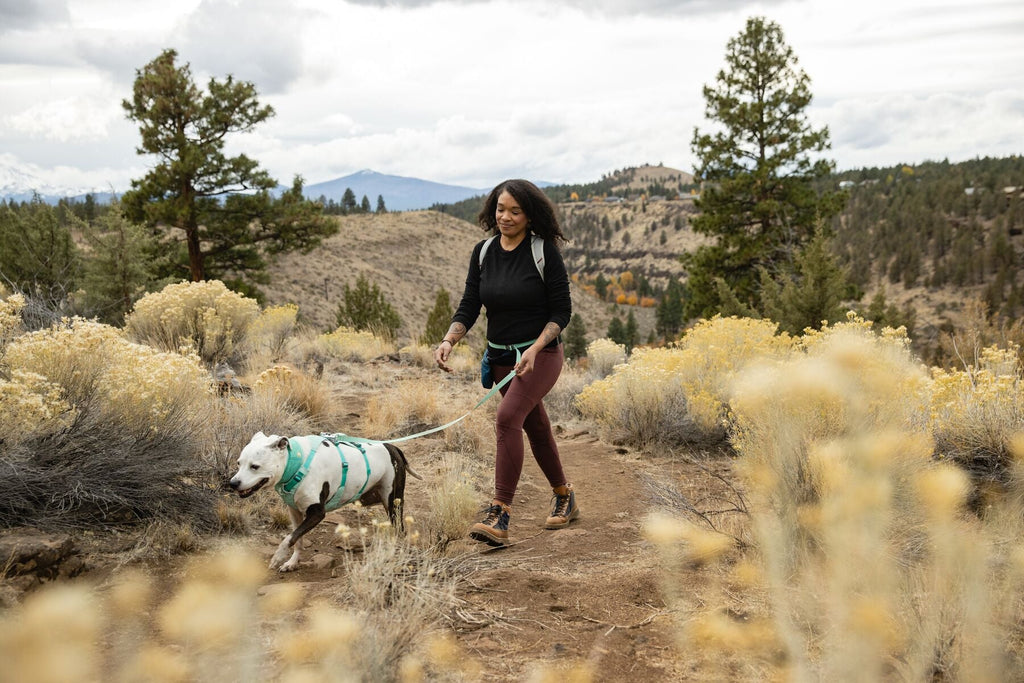 Dog Harness product image 63