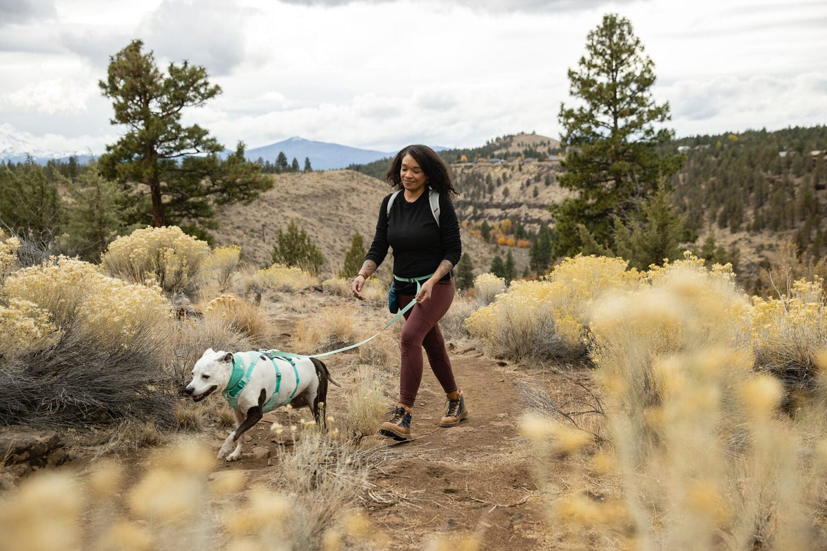 Dog Harness product image 63