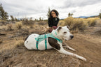 Dog Harness product image 64